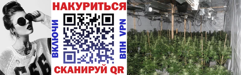 МАРИХУАНА White Widow  Борисоглебск 